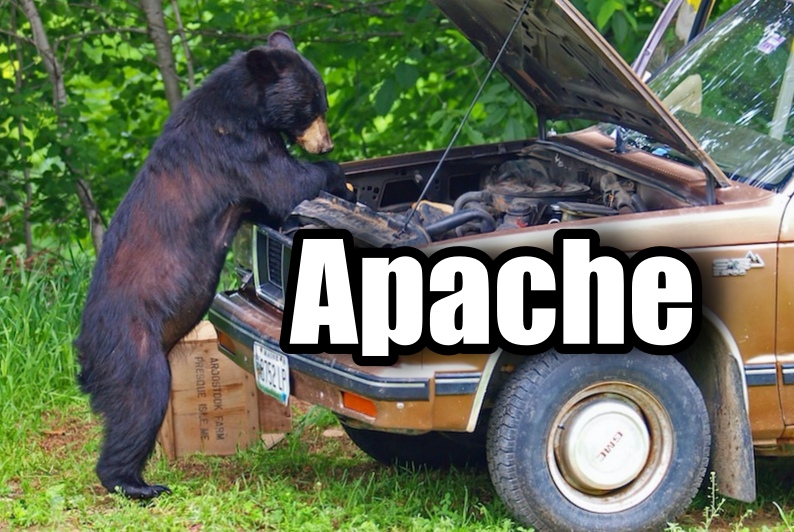 Un ours comprend Apache 