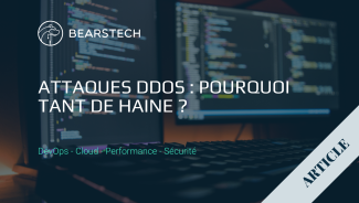 Illustration article DDoS