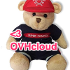Love OVH