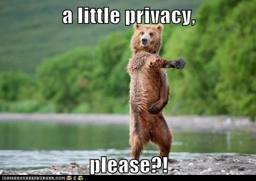 privacy-bear