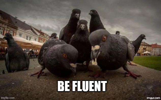 Meme_pigeons